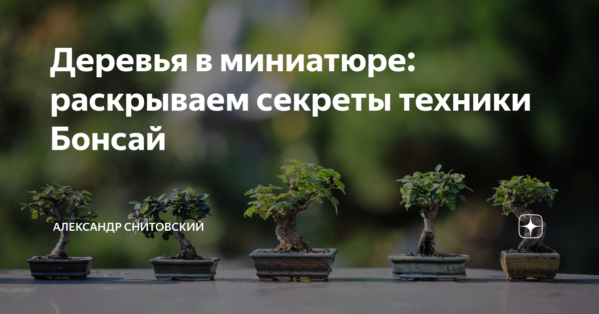 Ландшафтный дизайн, озеленение, благоустройство - GardenDesign