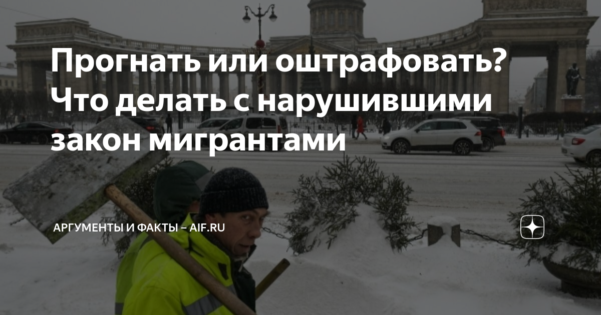 Закон для мигранта 2024 год. Амнистия для мигрантов