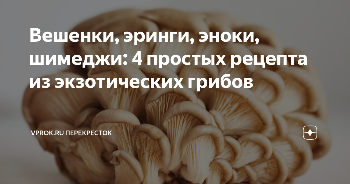 Вешенки, эринги, эноки, шимеджи: 4 простых рецепта из экзотических ...
