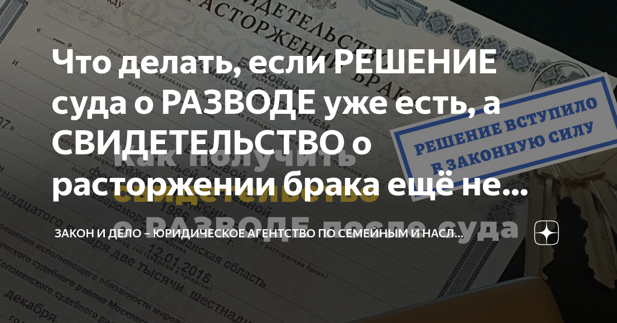 как посмотреть решение суда по разводу