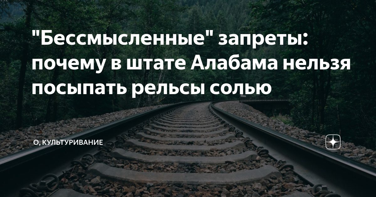 В поисках соли. Лоси стали выходить на дороги Ленобласти | Форум Питерского Охотника