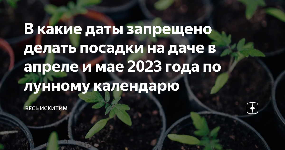 Посадка семян 2025 год. Посадка семян 2025 год