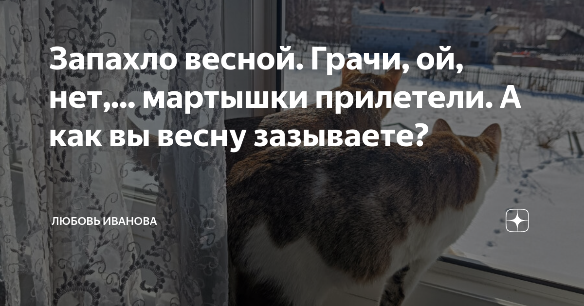 Ой нет. Ой нет