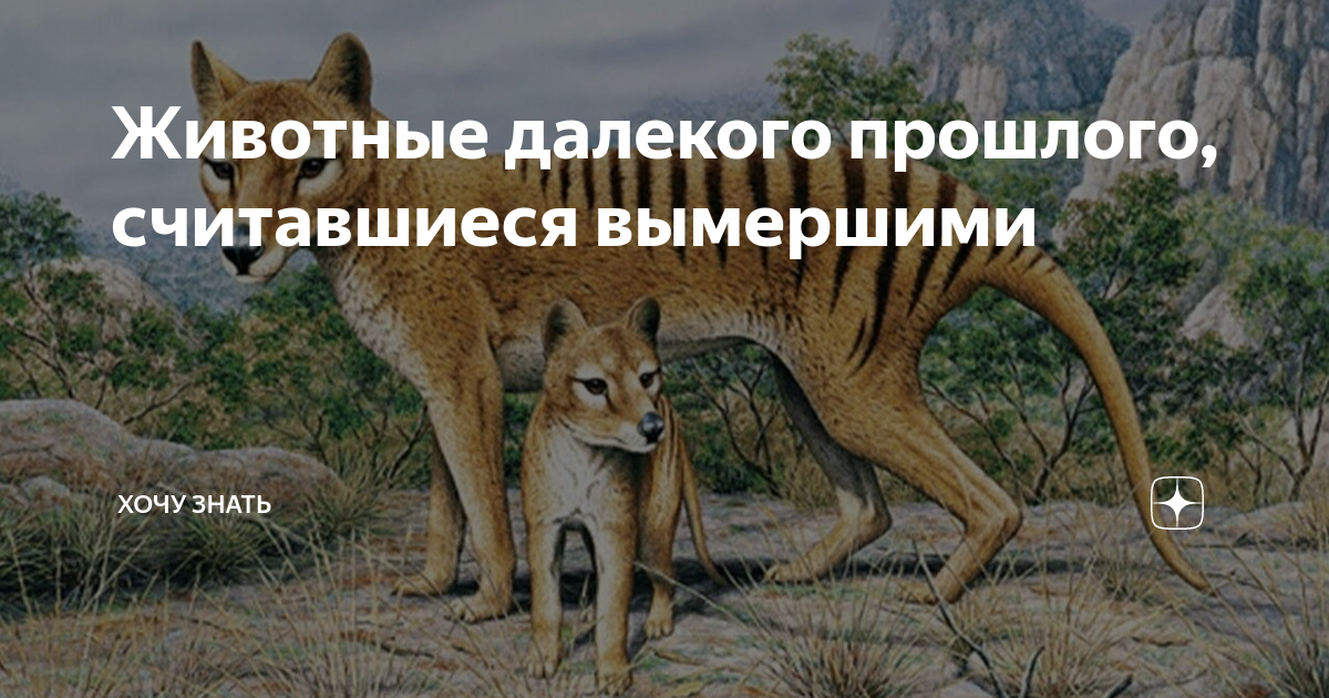 Животные далекого прошлого, считавшиеся вымершими | Хочу Знать | Дзен