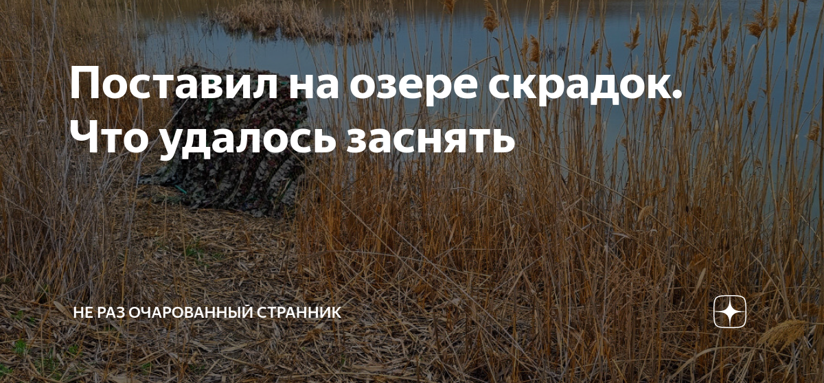 Поставил на озере скрадок. Что удалось заснять | Не раз очарованный ...