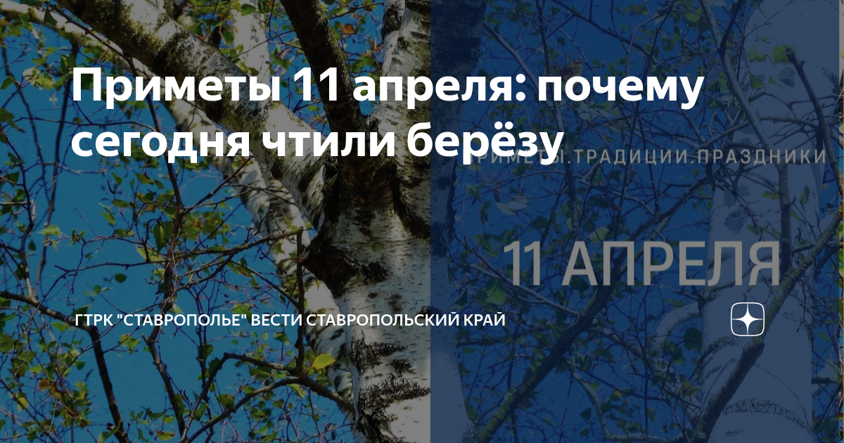 Береза 11 апреля. 11 Апреля Берещенье праздник березы. 11 Апреля день берёзы для детей. 11 Апреля праздник Берещенье.