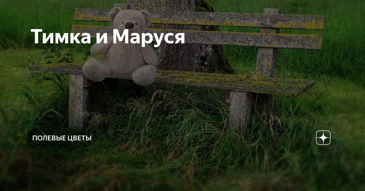 Тимка и Маруся | Полевые цветы | Дзен