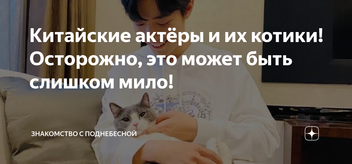 Китайские актёры и их котики! Осторожно, это может быть слишком мило ...