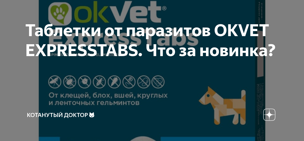 Okvet таблетки. OKVET EXPRESSTABS. OKVET Express Tabs. OKVET таблетки от клещей.