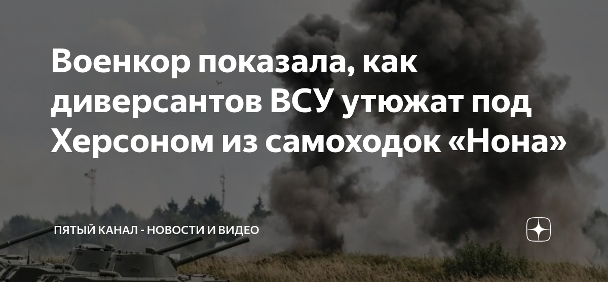 Военкор показала, как диверсантов ВСУ утюжат под Херсоном из самоходок ...