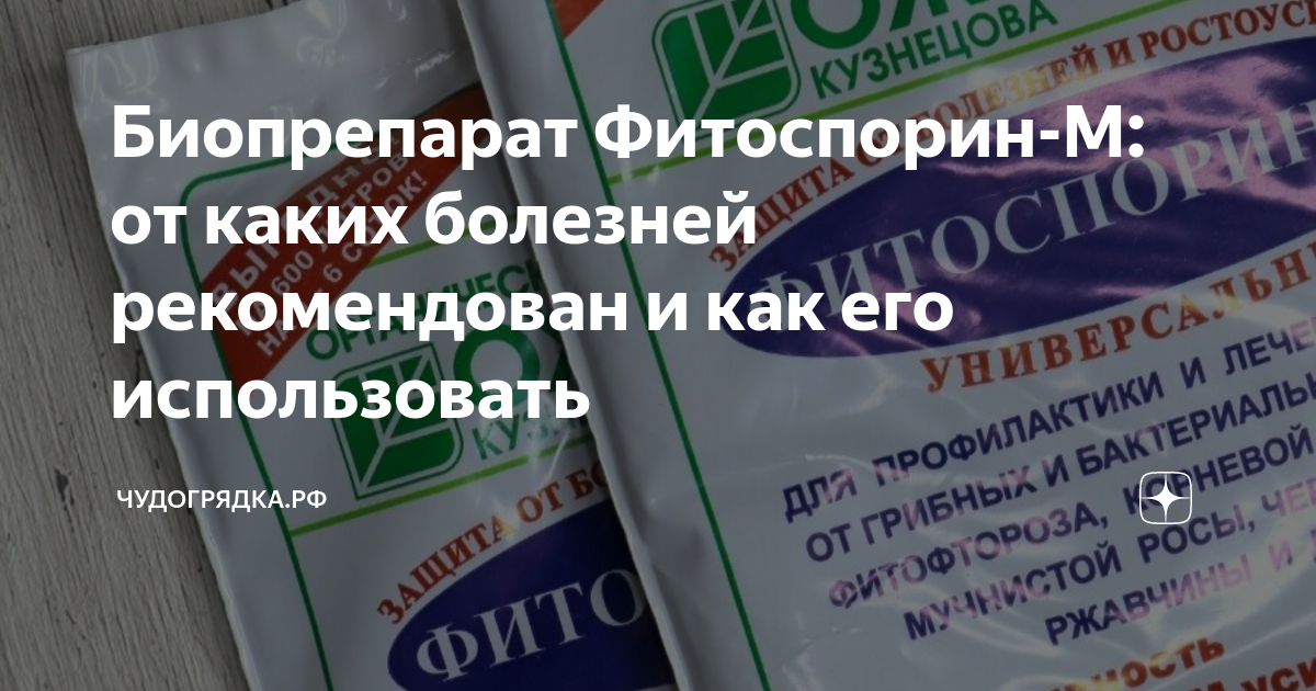 Биопрепарат Фитоспорин-М: от каких болезней рекомендован и как его ...