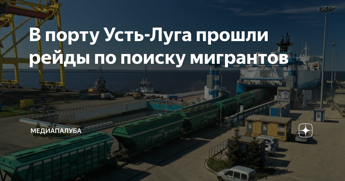 Усть луга порт проект ооо