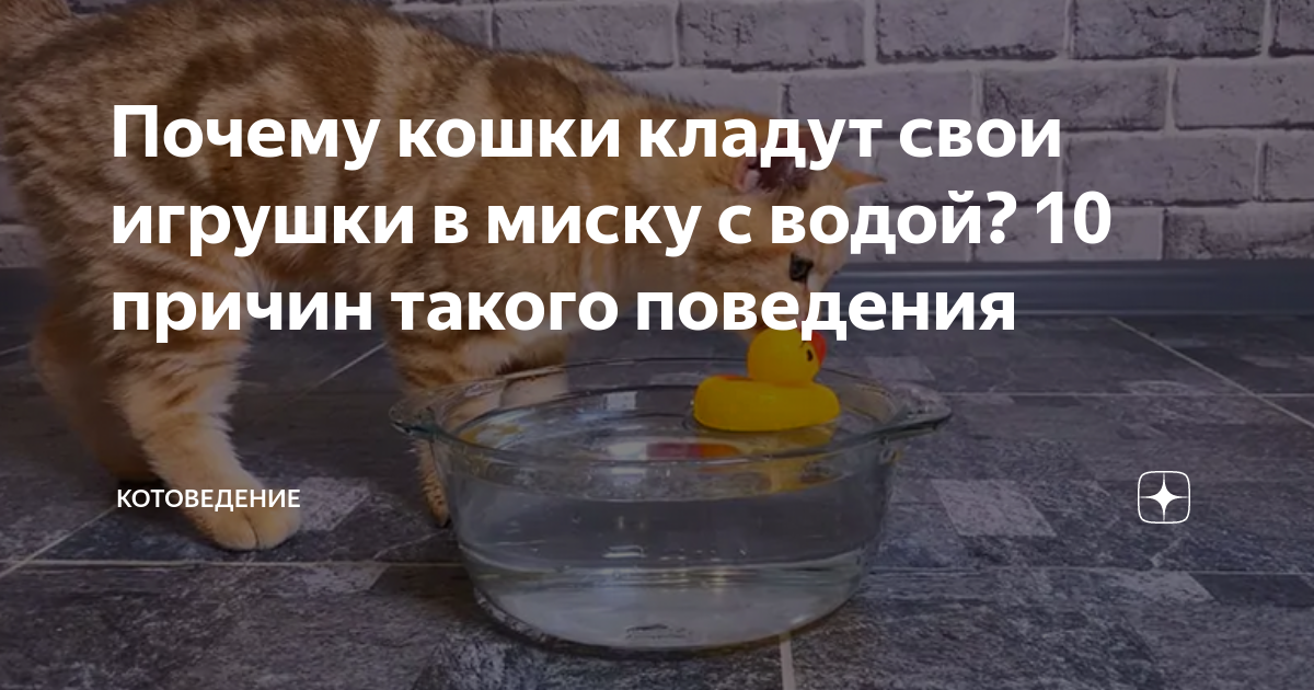 Топят игрушки топят игрушки. Игрушка топи-топи. Топят игрушки топят игрушки. Игрушка топи-топи. Топи-топити-топ топи-шлёпити-прыг.