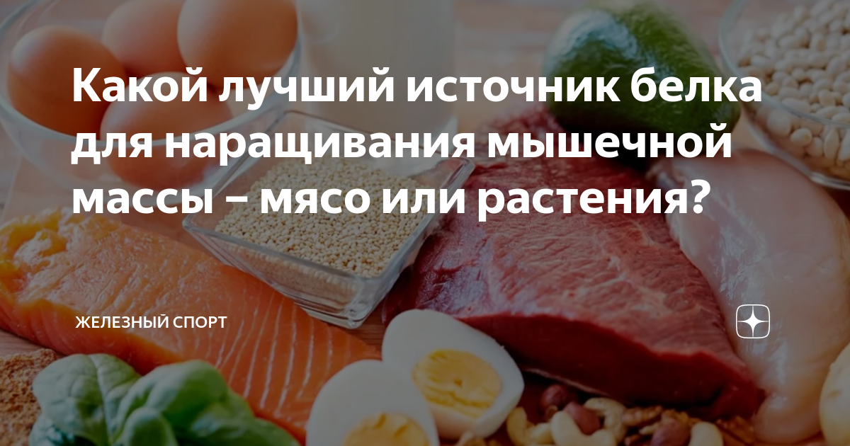 сколько нужно белка для построения мышц