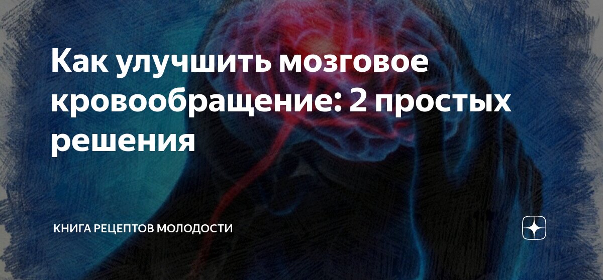 Как улучшить мозговое кровообращение: 2 простых решения | Книга ...