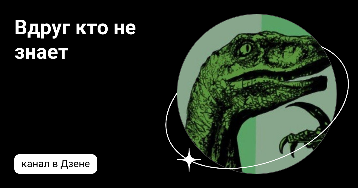 Дзен юмор. Она знает дзен. Дзен приколы. Она знает дзен. Дзен.
