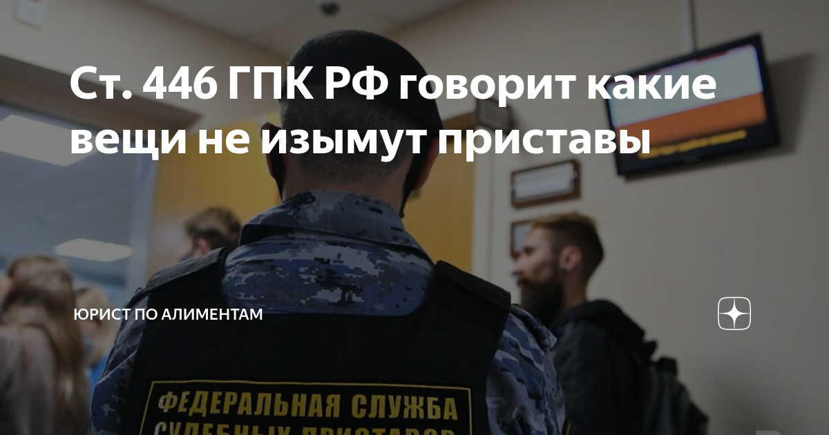 Ст. 446 ГПК РФ говорит какие вещи не изымут приставы | Гражданин и ...