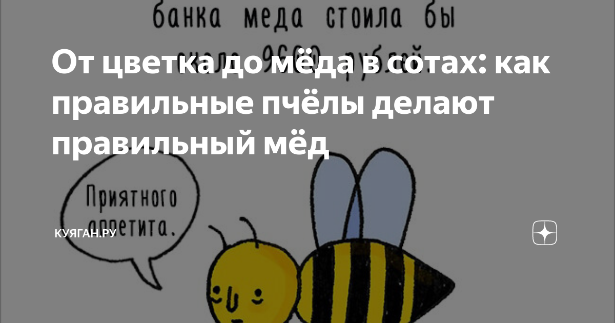 От цветка до мёда в сотах: как правильные пчёлы делают правильный мёд Куяган.ру 