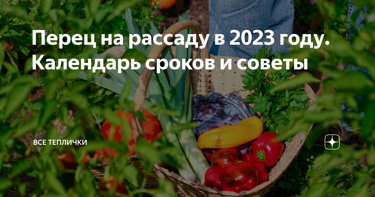 Завтра пересажу. Посев семян на рассаду в 2023 году. Сроки посева рассады в 2023 году. Когда сажать перец на рассаду в 2023 году. Календарь для пересадки овощей.