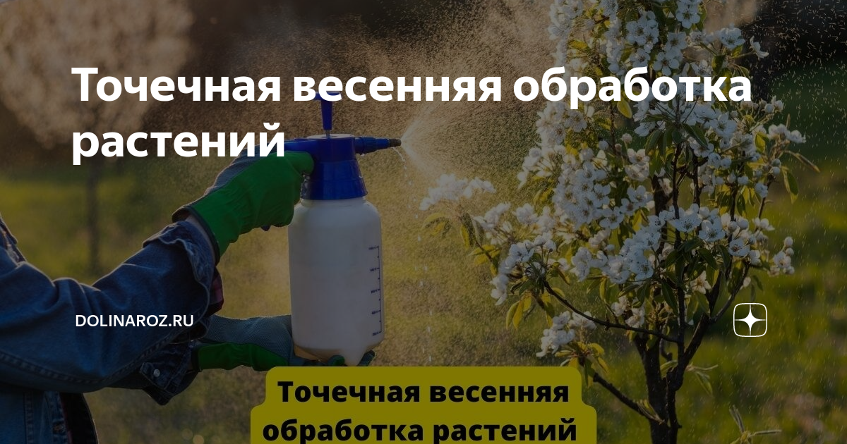 Медный купорос для обработки винограда