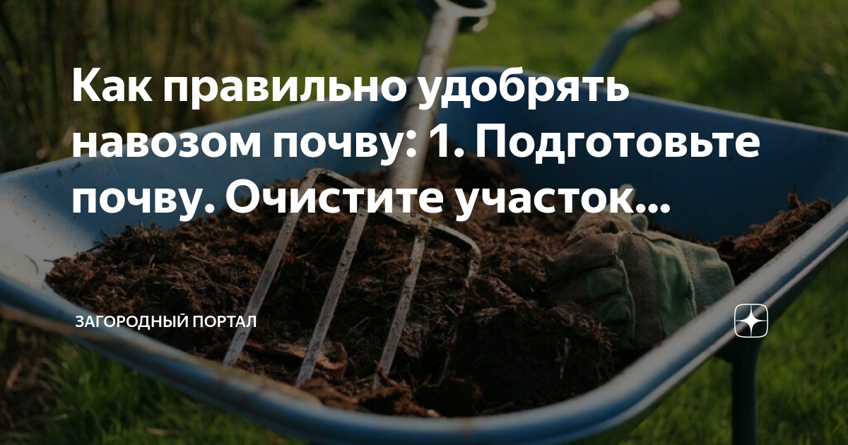 Подготовка навоза к использованию. Способы очистки почвы. сорняки на навозе. растения которые очищают почву. куча навоза с сорняками.