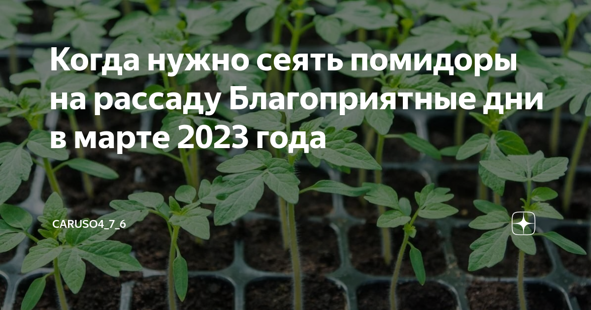 Благоприятные дни сеять помидоры. Когда сажать помидоры на рассаду. Помидоры на рассаду в 2023. Благоприятные дни для посадки томатов в марте. Посев семян на рассаду в 2023 году в апреле.