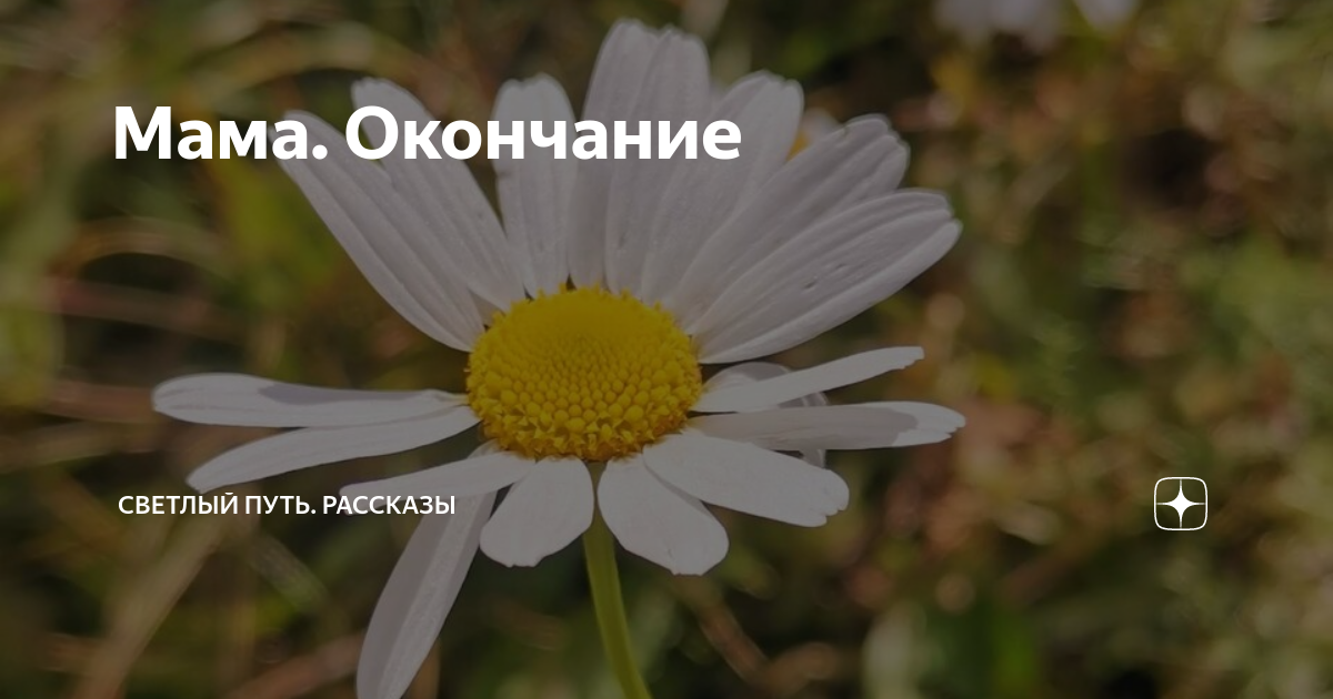 Мама. Окончание | Светлый путь. Рассказы | Дзен