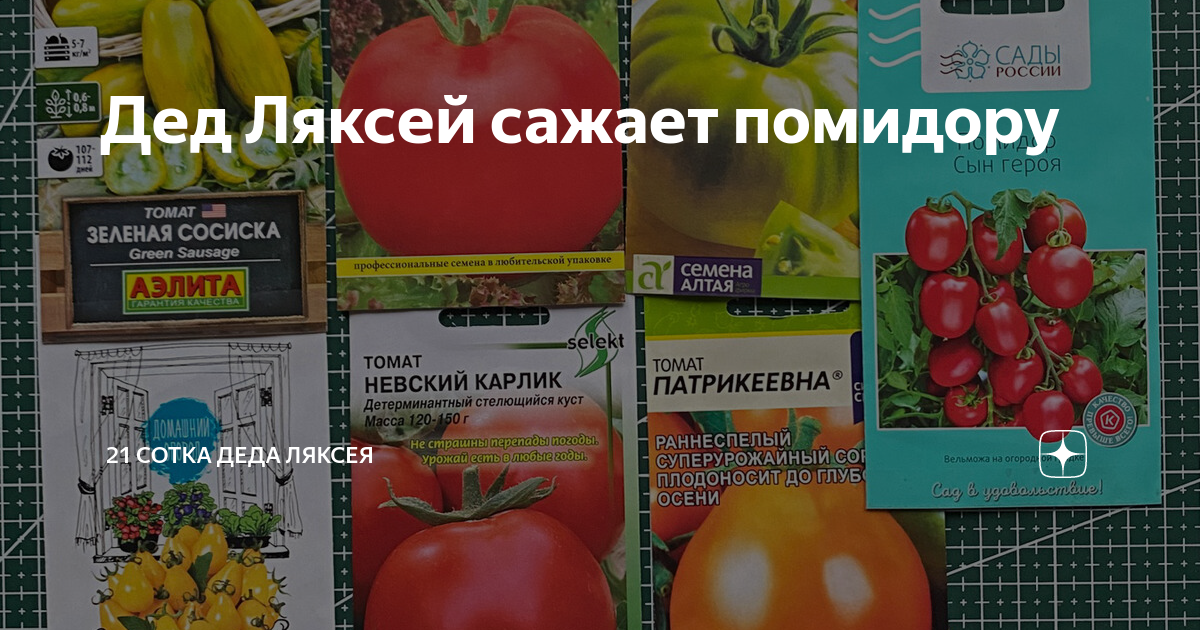 В Саратовской области второй год действует карантин из-за томатной моли ИА Регну