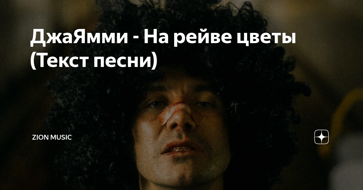ДжаЯмми - На рейве цветы (Текст песни) | Zion Music | Дзен
