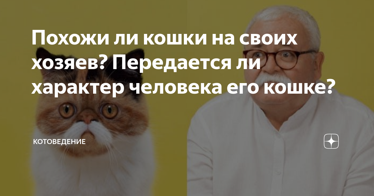 Адаптация к среде обитания