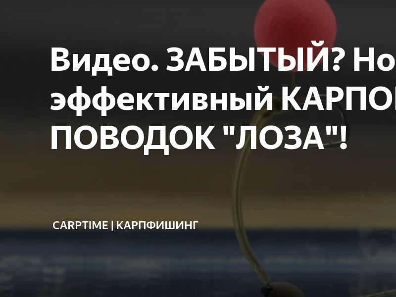 Самый простой и дешевый карповый поводок.