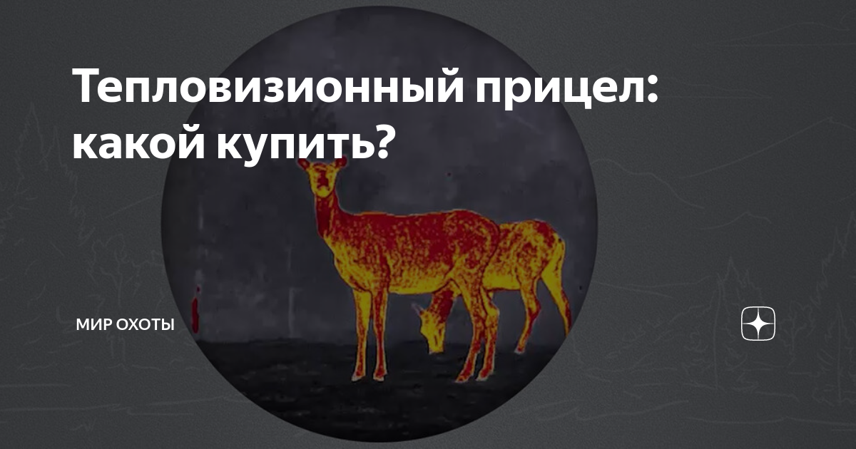 Тепловизионный прицел: какой купить? | Mиp oxoты | Дзен