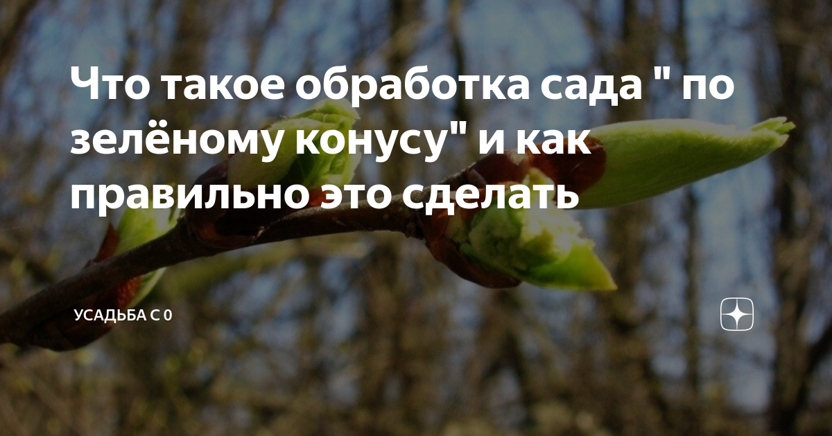 Обработка по зеленому конусу и по розовому бутону: что это значит?
