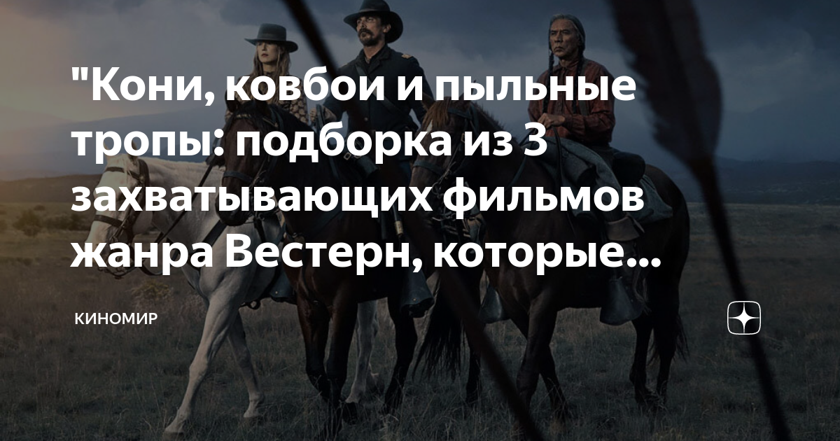 Анекдот про ковбоя. Дикий Запад это где. Путешествие на Запад белый конь. Леди эпохи дикий Запад. Фото прикол ковбой на коне