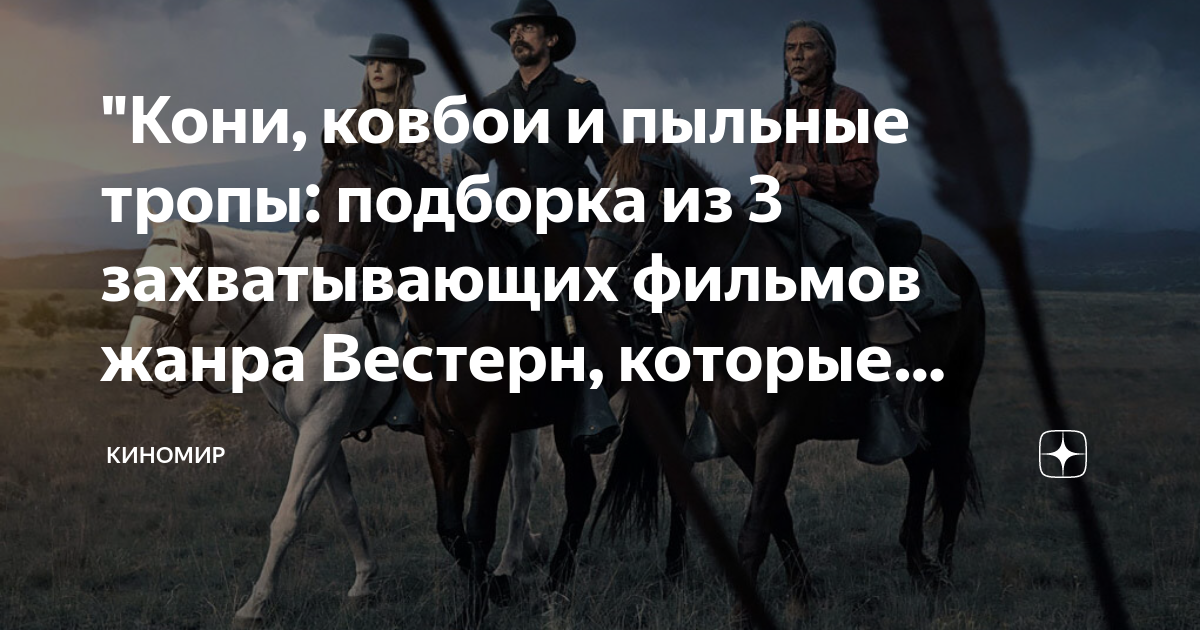 Анекдот про ковбоя. Дикий Запад это где. Путешествие на Запад белый конь. Леди эпохи дикий Запад. Фото прикол ковбой на коне.