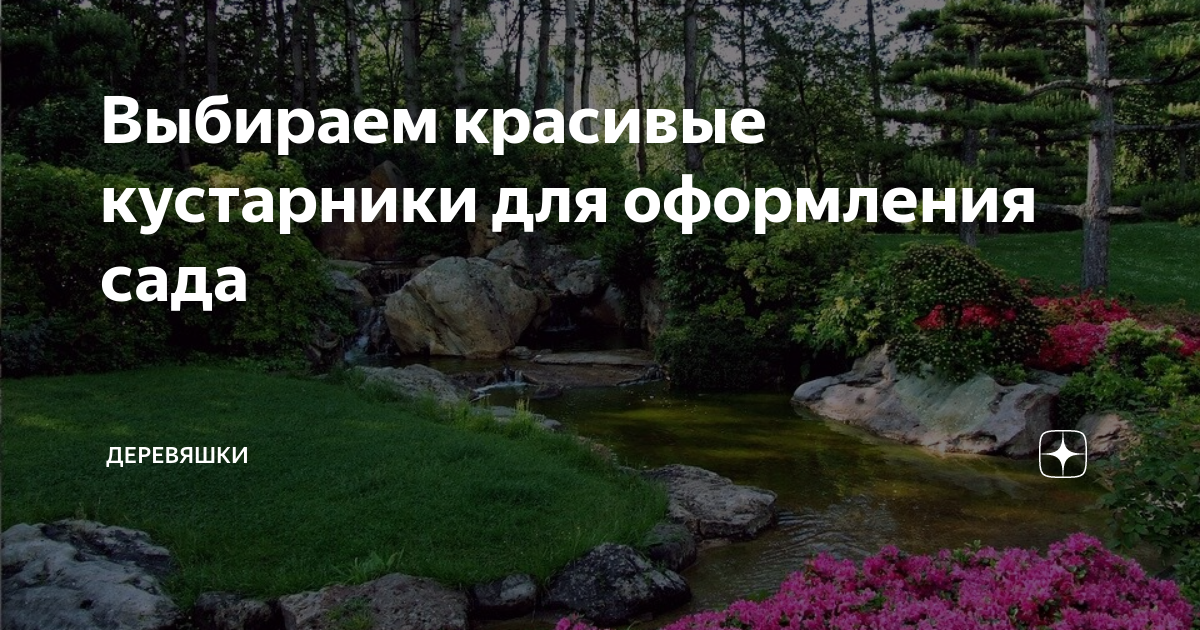 Выбираем красивые кустарники для оформления сада | Деревяшки | Дзен