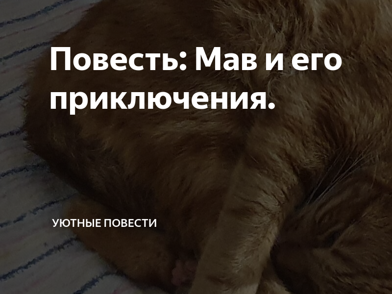 Авторские повести на дзен. Авторские повести на дзен. Ошибки на дзен. Дзен иллюстрация. Авторские повести на дзен.