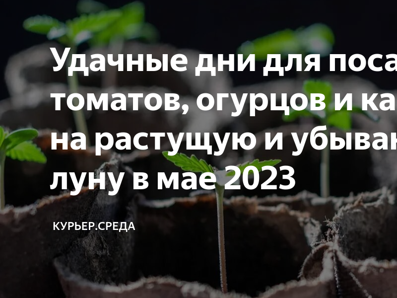 Лунный календарь садовода и огородника на 2023г