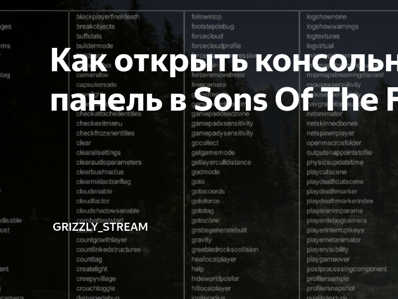 Как открыть консоль sons of the forest