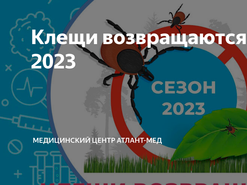 Проснись 2023 отзывы