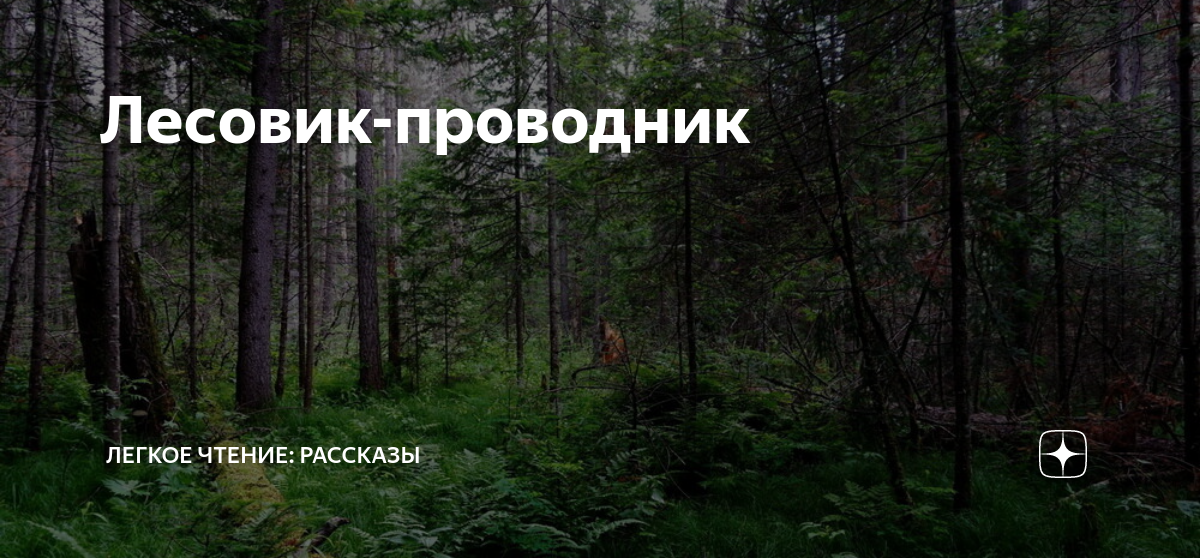 Лесовик-проводник | Легкое чтение: рассказы | Дзен