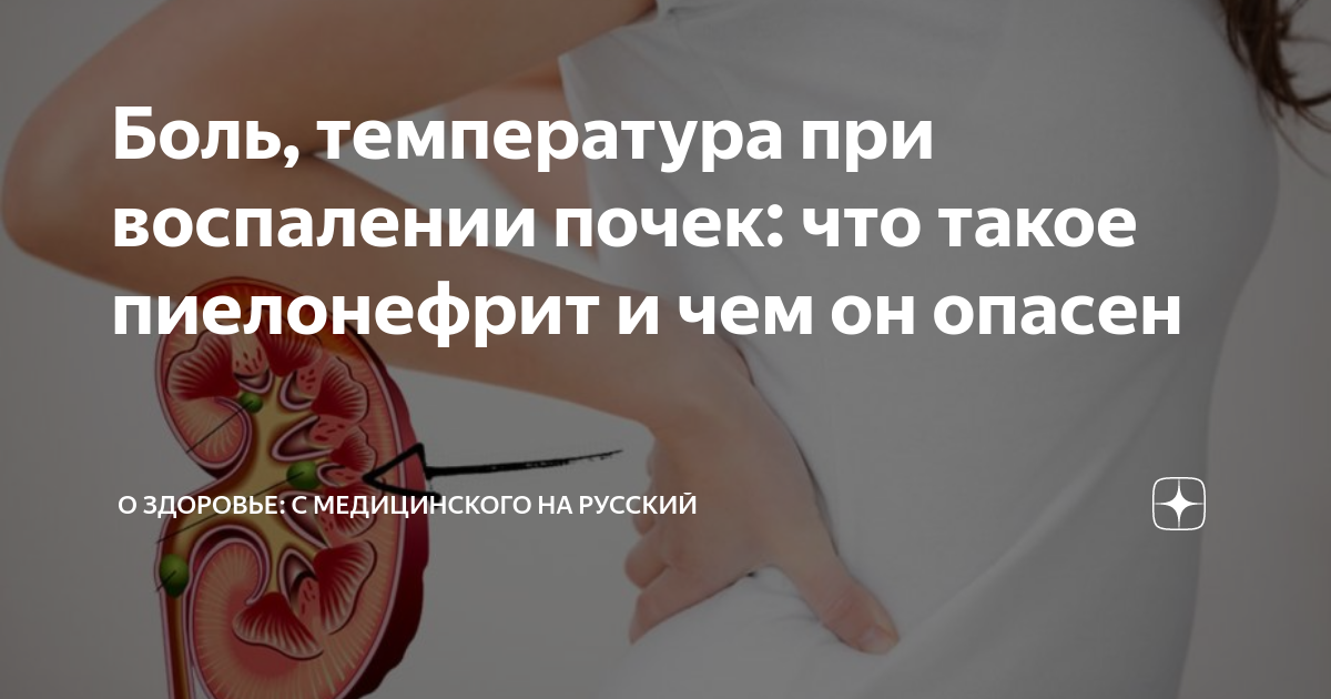 Как быстро снять воспаление почек Pin by Khasis2022 2023 on Здоровье Medicine, Biology, Map