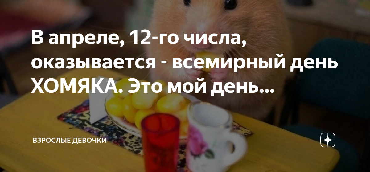 Всемирный день хомяка 12 апреля