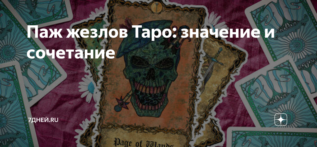 Паж жезлов Таро: значение и сочетание | 7Дней.ru | Дзен