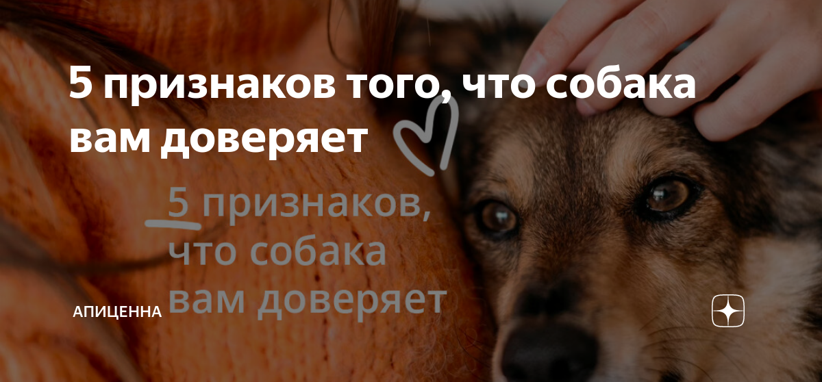 Увеличение времени общения