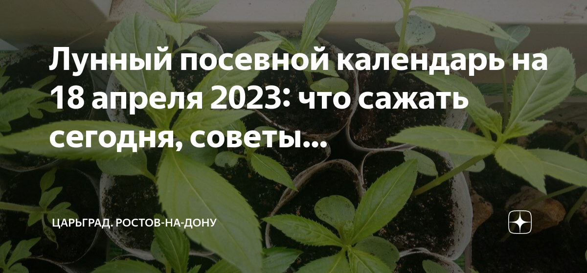 Посев апрель 2023