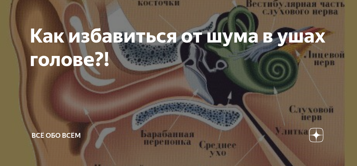 От чего шум в ушах