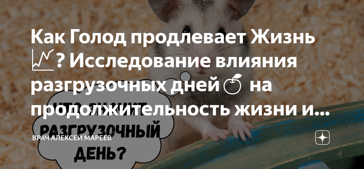 Как Голод продлевает Жизнь📈? Исследование влияния разгрузочных дней🍏 на ...