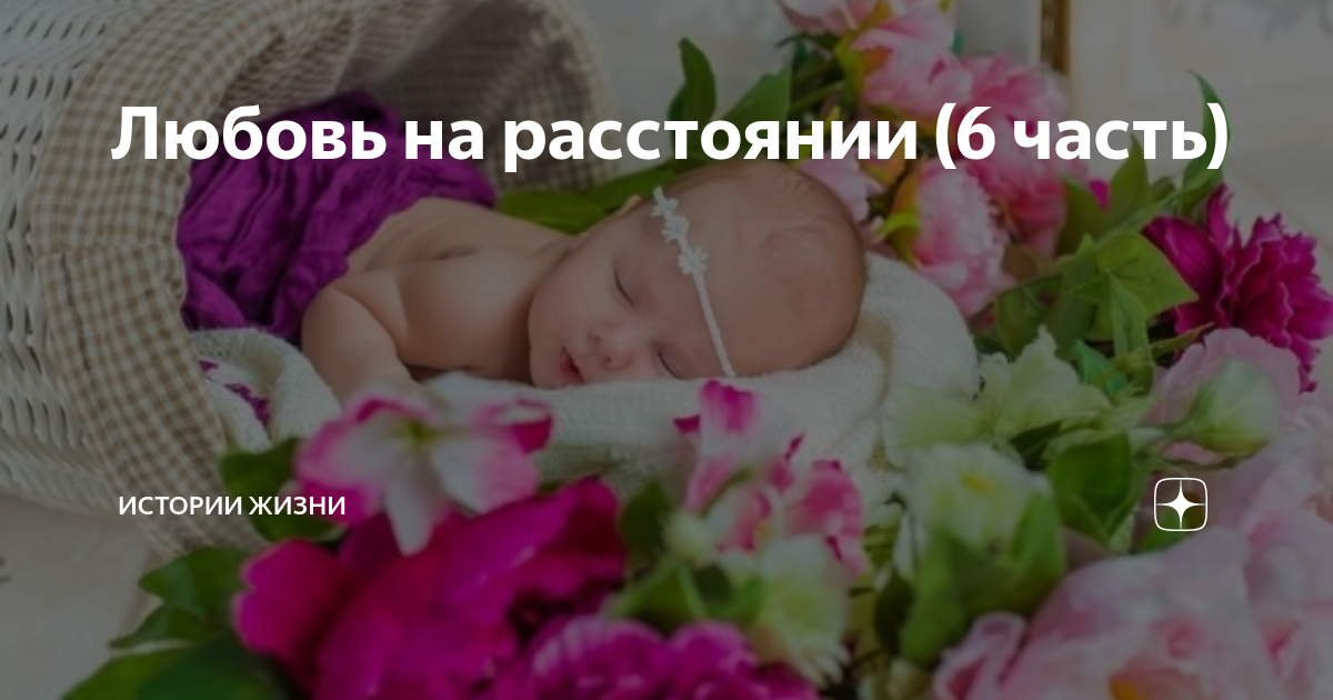 Любовь на расстоянии (6 часть) | Истории жизни | Дзен