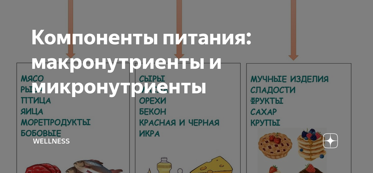 Какие нутриенты относятся к макронутриентам ответ. Какие нутриенты относятся к макронутриентам ответ